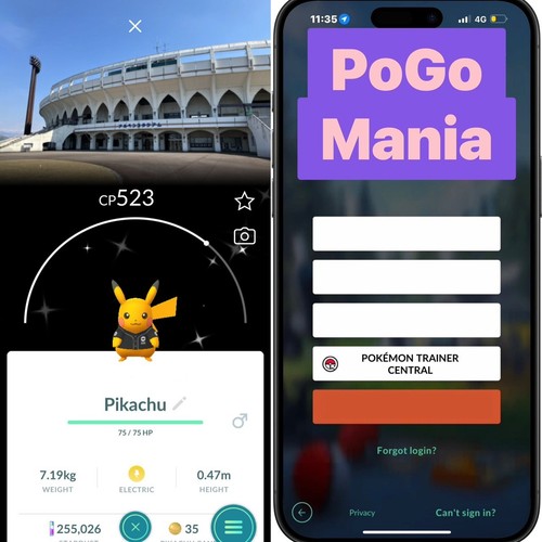 Shiny pikachu mynavi - shiny, pikachu✨mynavi